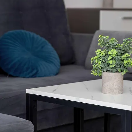 Comfortable With Access To The Gym And Parking By Renters Appartement