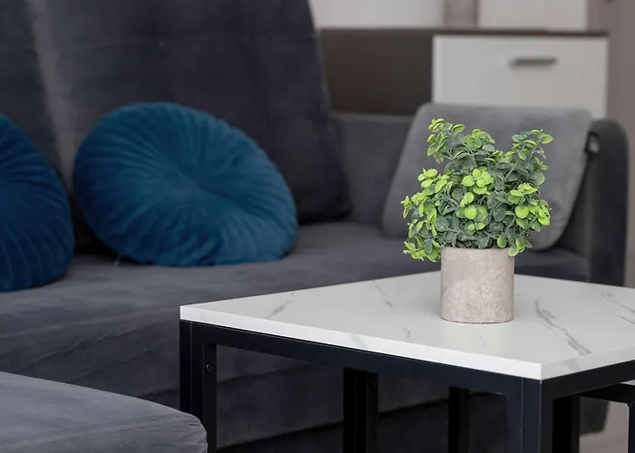 Comfortable With Access To The Gym And Parking By Renters Appartamento